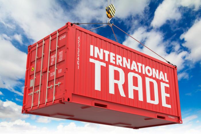 INTERNATIONAL TRADE AND INVESTMENT (B3162_1)