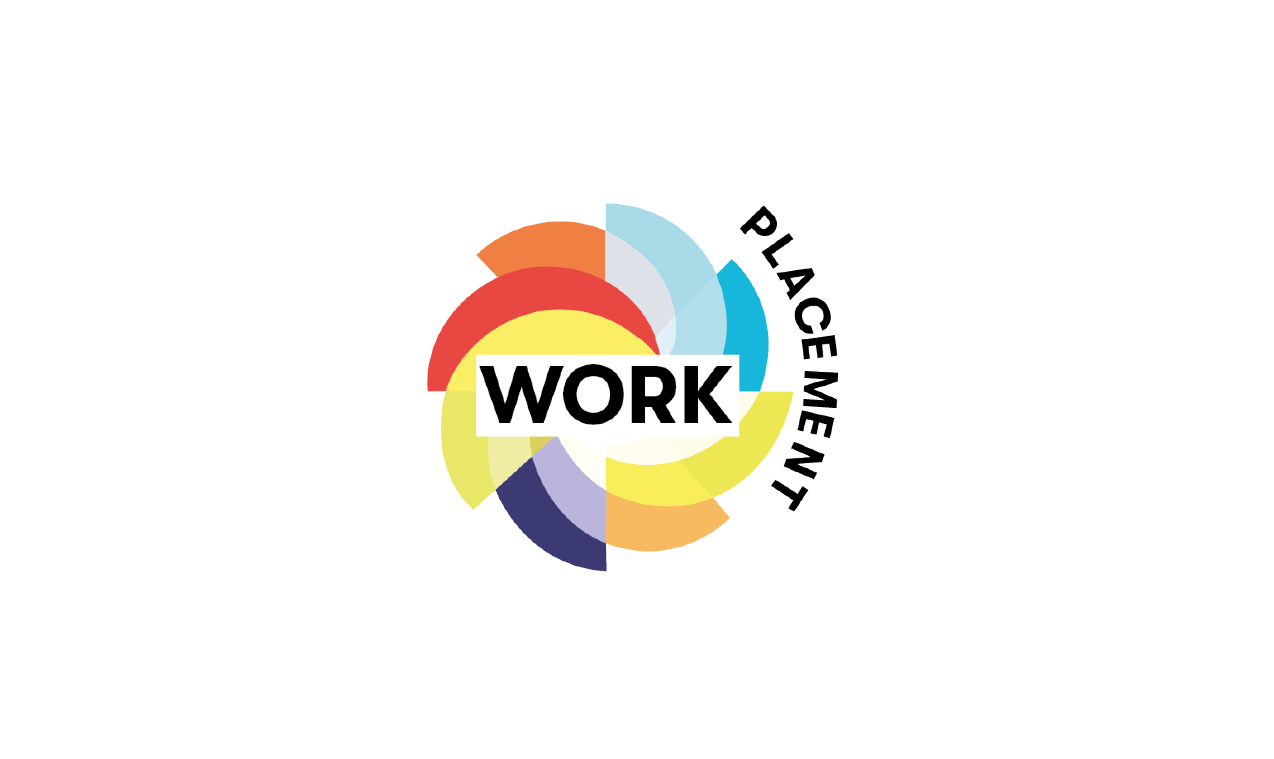 WORK PLACEMENT- PROFESSIONAL PRACTICE (SE6116_1)