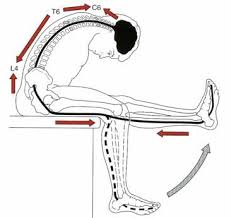 MUSCULOSKELETAL PHYSIOTHERAPY (PT6102_1)