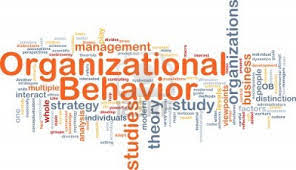 ORGANISATIONAL BEHAVIOUR (B3207_1)