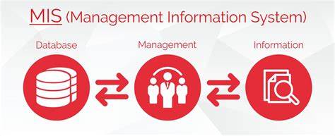 MANAGEMENT INFORMATION SYSTEMS (MCAC5011_1)