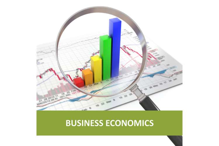 BUSINESS ECONOMICS (B1109_1)