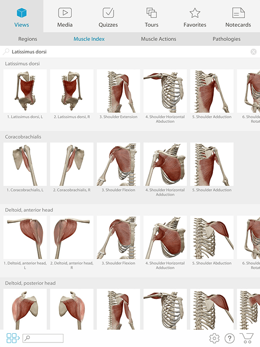 APPLIED ANATOMY, PRINCIPLES OF KINESIOLOGY & BIOMECHANICS (P1139_1)