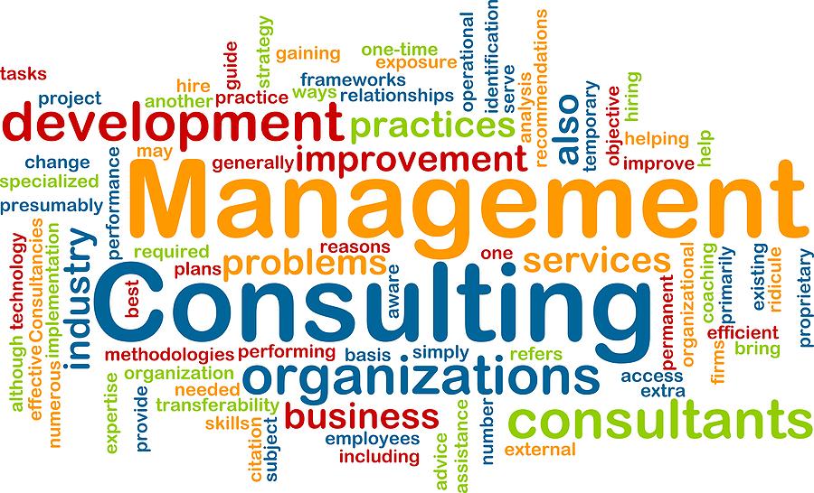 MANAGEMENT INSIGHT & CONSULTANCY (B4135_1)