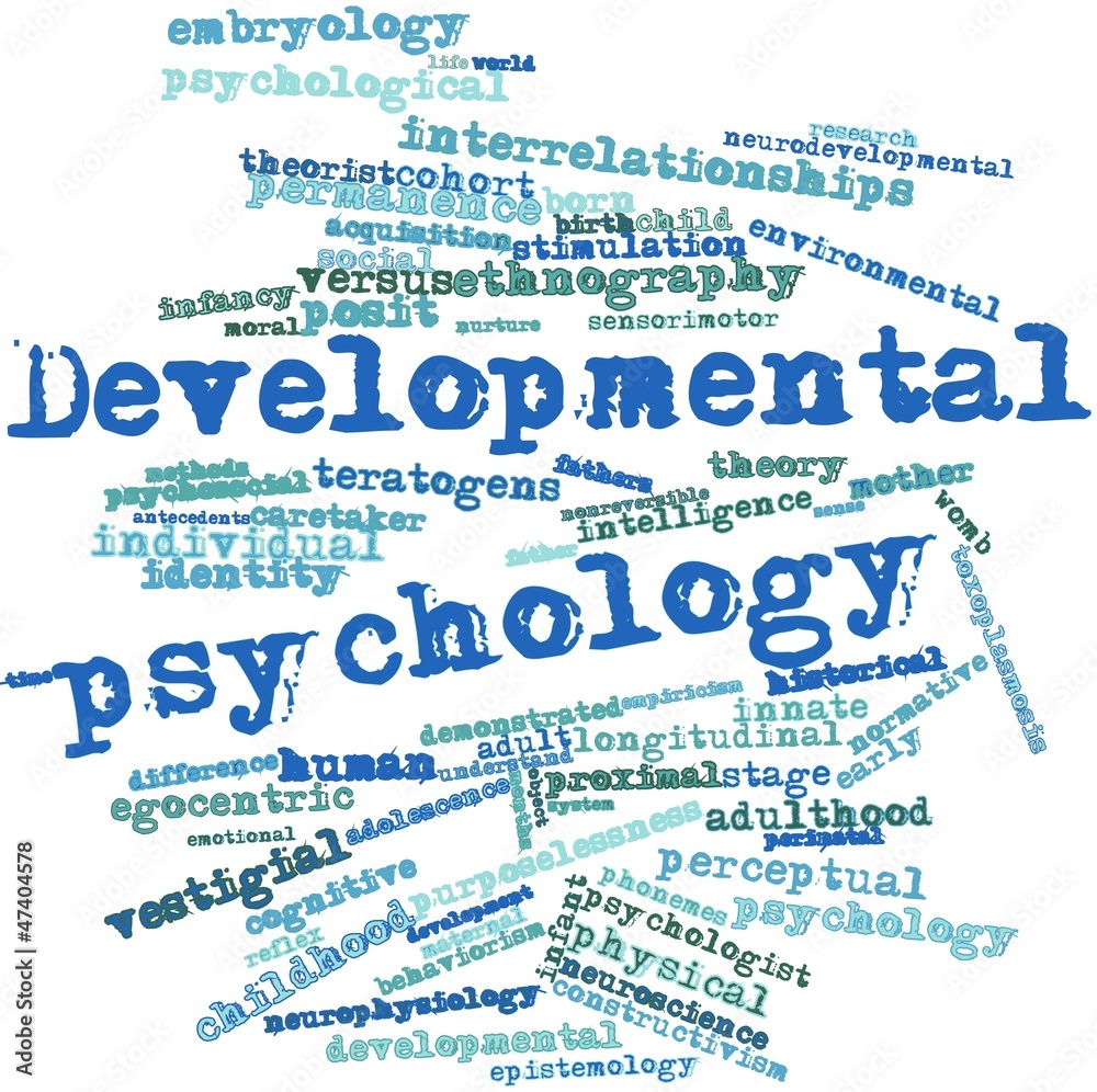 DEVELOPMENTAL PSYCHOPATHOLOGY (ED5092_1)