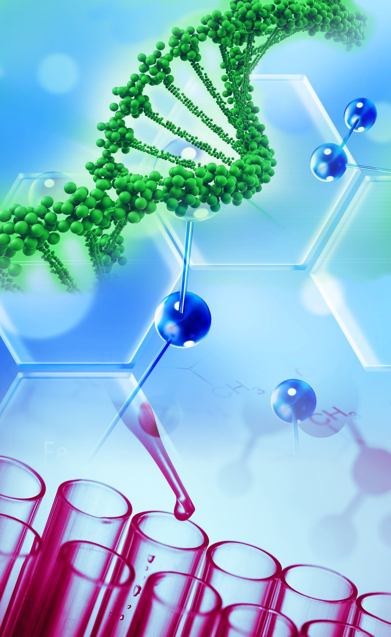 CELL BIOLOGY & NUTRIGENETICS (N/A_1)