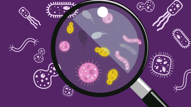 FUNDAMENTALS IN MICROBIOLOGY (BS4107_1)