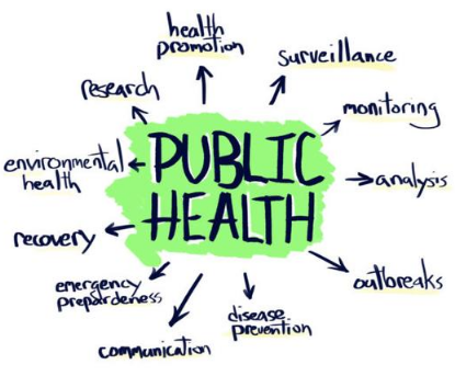 PUBLIC HEALTH PRACTICE (D2165_1)