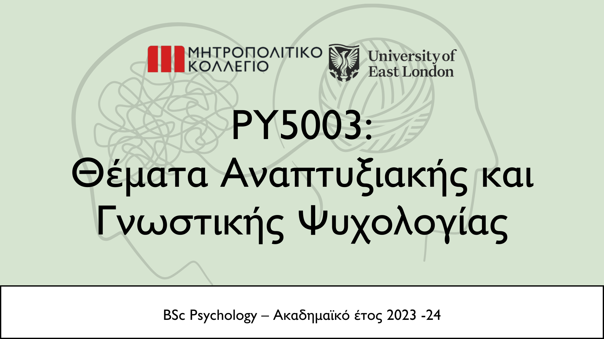 TOPICS IN DEVELOPMENTAL & COGNITIVE PSYCHOLOGY (PY5003_1)