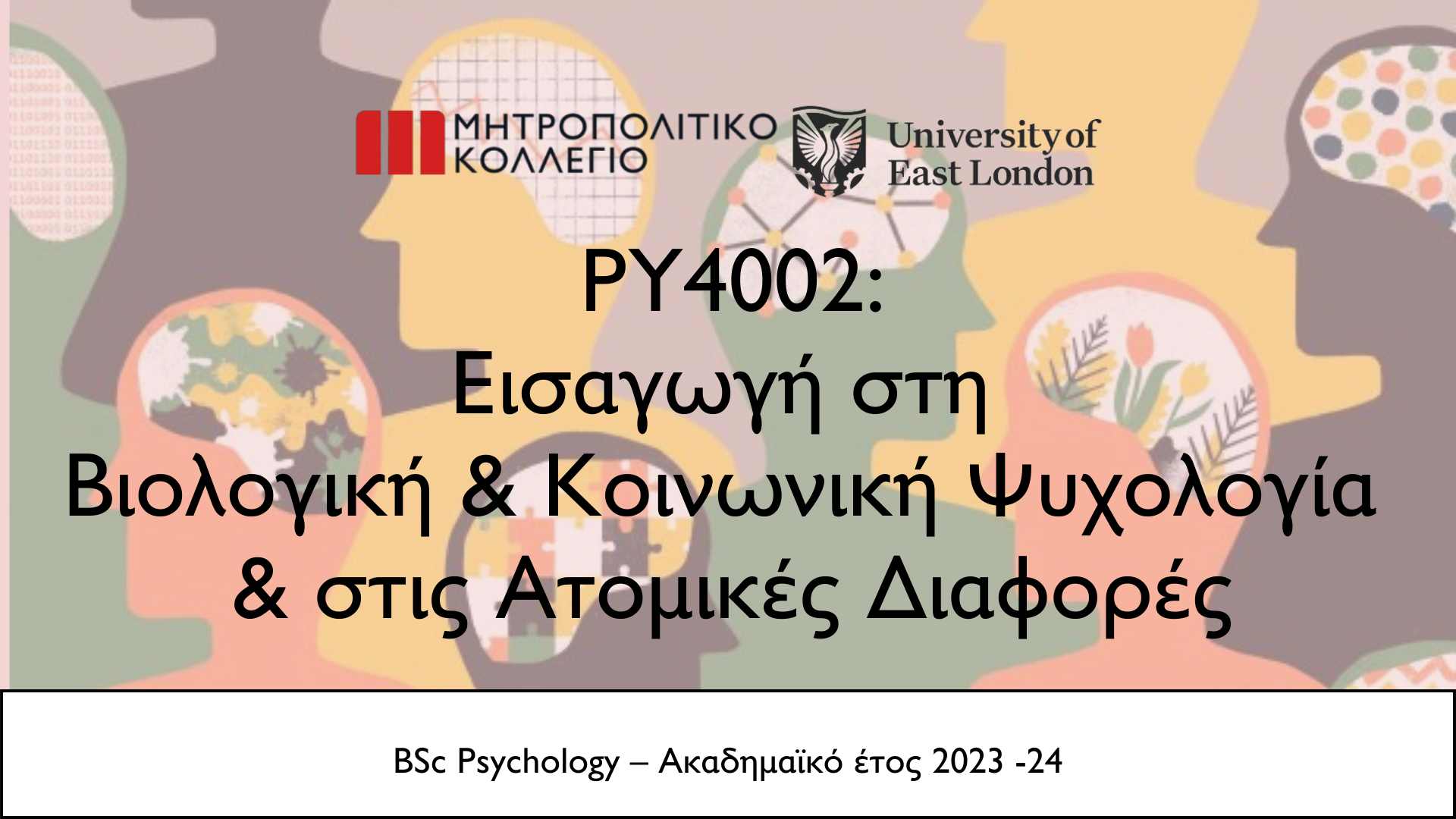 INTRODUCTION TO BIOLOGICAL AND SOCIAL PSYCHOLOGY AND INDIVIDUAL DIFFERENCES (PY4002_1)