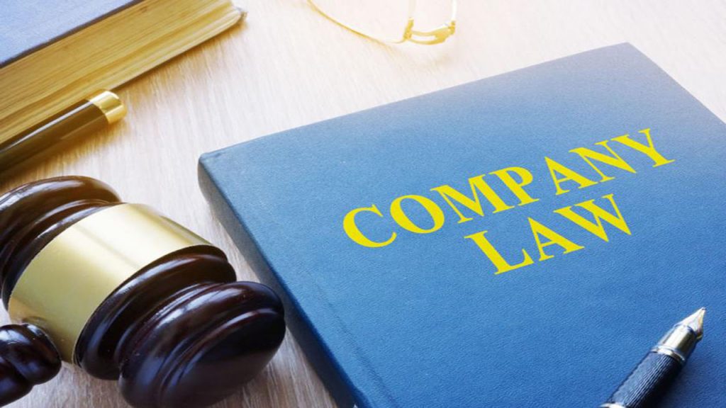 COMPANY LAW-BUSINESS ASSOCIATIONS (MCLA5007_1)