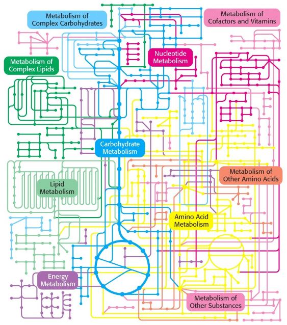 NUTRIENT METABOLISM (D2193_1)