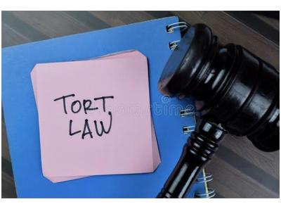 TORT LAW (MCLA5020_1)