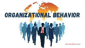 ORGANISATIONAL BEHAVIOUR (B3207_1)