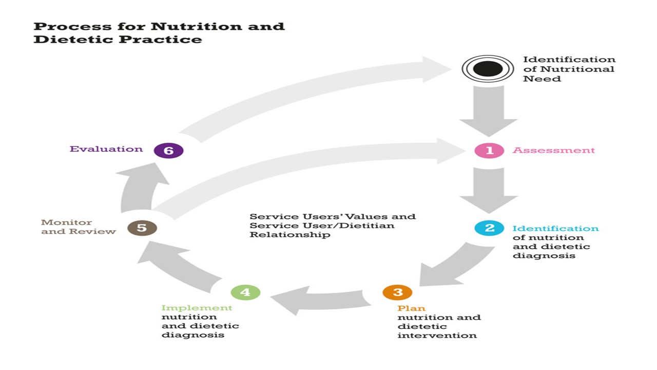 PLACEMENT A: INTRODUCTION TO DIETETIC PRACTICE (D2198_1)