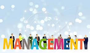 UNDERSTANDING MANAGEMENT IN ORGANIZATIONS (B1147_1)