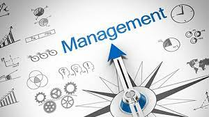 UNDERSTANDING MANAGEMENT IN ORGANIZATIONS (B1147_1)