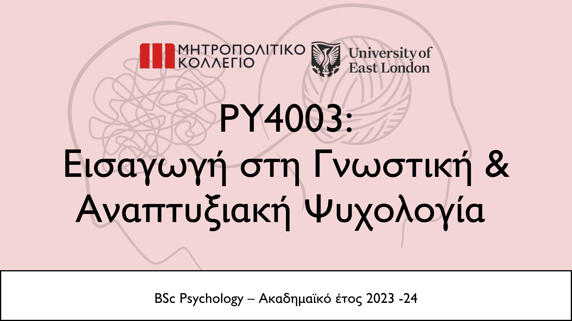 INTRODUCTION TO COGNITIVE AND DEVELOPMENTAL PSYCHOLOGY (PY4003_1)